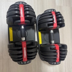 【7/14引渡】可変式ダンベル【早い者勝ち】の画像