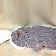 犬服 サイズM　もこもこ うさ耳パーカー　裏起毛　グレーの画像