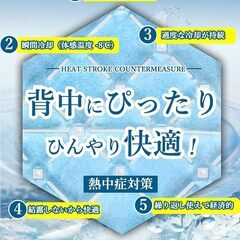 【 日本業界初！28℃で自然凍結】2025新登場 リュック用冷却パッド 冷感パッドリュックサックアイスマット 氷枕 暑さ対策アイス枕 氷嚢 リュック用冷却パッド 結露なし 冷却 繰り返し使用可能 冷感マット 吸熱 長時間 ひんやりクールシート 瞬間冷却グッズの画像
