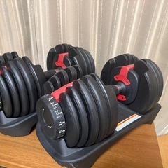 14日お譲り予定者決定【4WD 色 24kg×2個セット/赤色】...