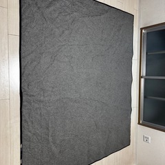 ニトリ　カーペット 200x240cm 汚れありの画像