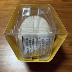 eggling たまご型サボテン栽培キット の画像