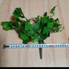 フェイクグリーン　観葉植物　造花　アイビーの画像