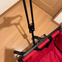 キャリーワゴンの画像
