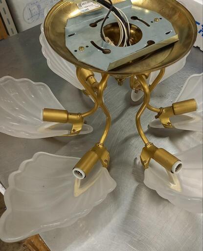 コイズミ 貝殻調 6灯シャンデリア