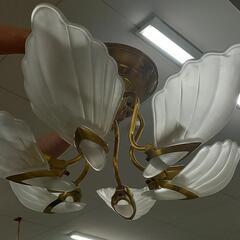 コイズミ　貝殻調　6灯シャンデリアの画像