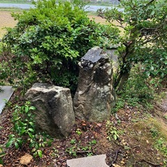 庭の石の画像