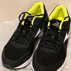 メンズ　ミズノのランニングシューズ、スニーカー　27.5cmの画像