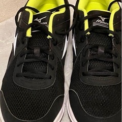 メンズ　ミズノのランニングシューズ、スニーカー　27.5cmの画像
