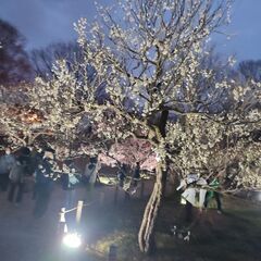 女の友達を募集
