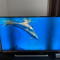 TOSHIBAテレビ REGZA 50インチ ※ジャンク品 TOSHIBA REGZA 50M510X 4K テレビ 50インチ ジャンク品 (RITO