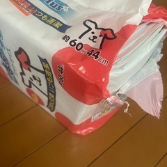 わんちゃんグッズの画像