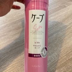 ケープ ヘアスプレー ソフト Dの画像