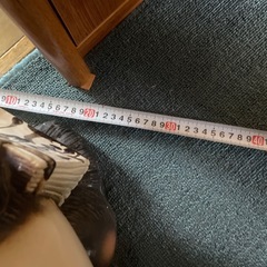 受け渡し決定済み　たぬきの置物の画像