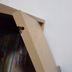 収納棚　目隠し扉　難ありの画像
