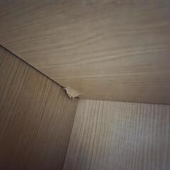 収納棚　目隠し扉　難ありの画像