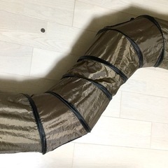 キャットトンネル
の画像