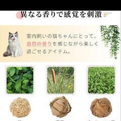 猫のおもちゃ　ペットの画像