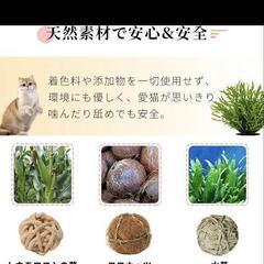 猫のおもちゃ　ペットの画像