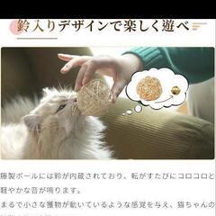 猫のおもちゃ　ペットの画像