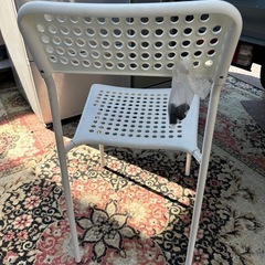 いす💮プラスチックイスの画像