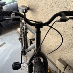 スペシャライズド p-fix トリックピスト