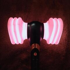【☆おまけ付き☆】BLACK PINK ペンライトの画像