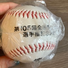 甲子園　野球ボール　慶應義塾高校