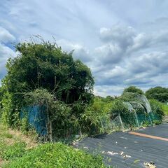 🌈売り土地　小郡市松崎②🌈T