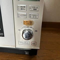 パナソニックスチームオーブンレンジの画像