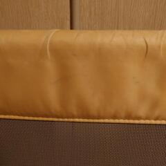 おくだけとおせんぼ　とおれんワンの画像