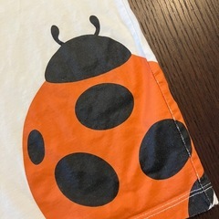 無印良品てんとうむしTシャツ100センチの画像