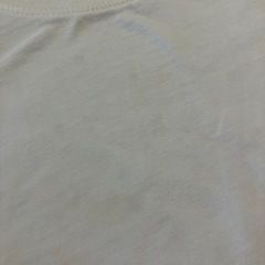 無印良品てんとうむしTシャツ100センチの画像