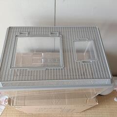 在庫4 珍しい アクリルケース 虫かごの画像