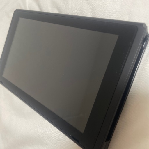 【ソフト無料！】Nintendo Switch あつまれどうぶつの森セット