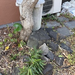 石の画像