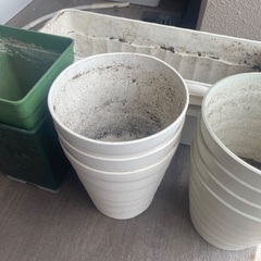 植物　ガーデニング　プランターの画像