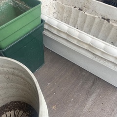植物　ガーデニング　プランターの画像