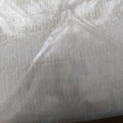 遮光ネット　クールホワイト　2m×2mの画像