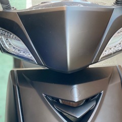 シグナス２型の画像