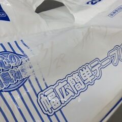 エルモアいちばん 幅広簡単テープ止め 病院・施設用 M 20枚　紙おむつ　未開封の画像