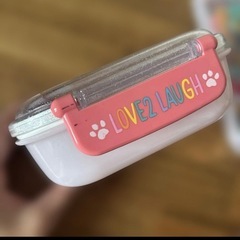 スケーター　パウパトロール　弁当箱　セットの画像