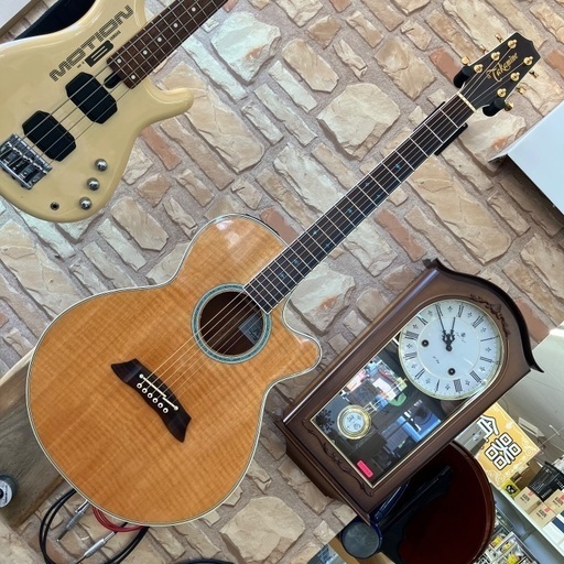タカミネ☆ハードケース☆美中古？☆ドレッド用☆ Yahoo!オークション -「takamine ハードケース」(楽器、器材) の