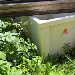 浴槽　中古！　家庭菜園の水貯めに如何ですか？200円今月中に売れなければ値上げします。の画像