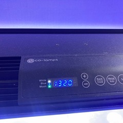 水槽セットの画像