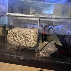オーバーフロー水槽120×45×50の画像