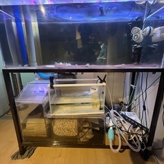 オーバーフロー水槽120×45×50の画像