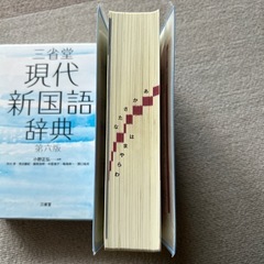 国語辞典の画像