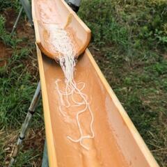 流しそうめん用の半割りした竹　１本