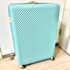 【値下げ】スーツケース　HaNTmine （ハントマイン）47L...